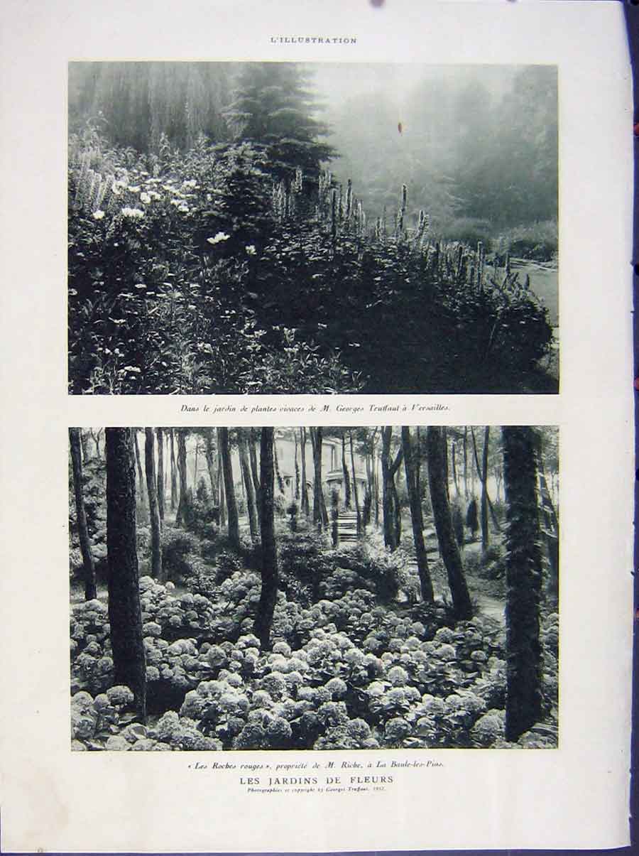 Original Old Vintage Print Garden Sassoon Beauregard Flowers Riche French 1932